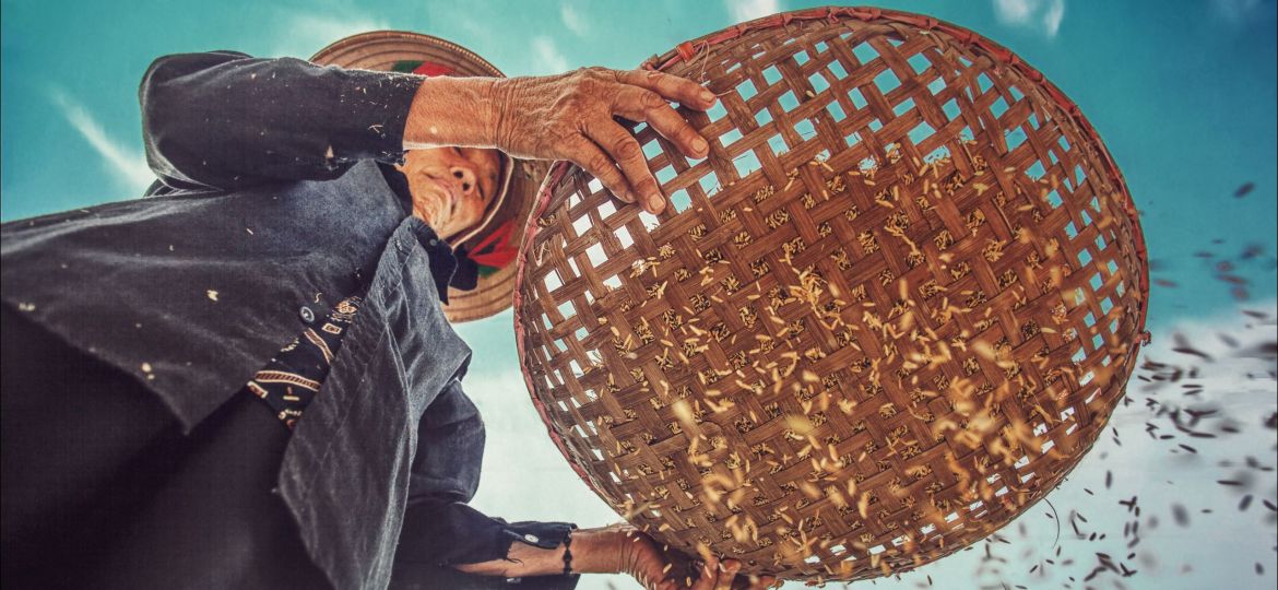 tuan-anh-tran-tHfJ3mevHi0-unsplash